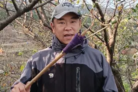 古老的因纽特鱼叉 #户外 #野外生存 #荒野求生#户外装备#户外爱好者 #钓鱼技巧