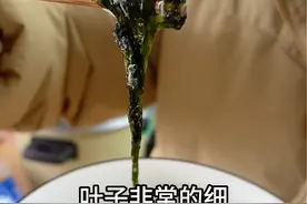 头水紫菜不要洗 无沙无泥干嘛要洗呢？直接吃更香#头水紫菜 #福建特产 #分享家乡特产 #紫菜汤家常做法 #紫菜变海苔视频封面