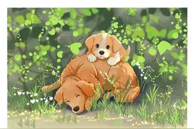 小狗狗以为妈妈还在，一直趴在他身上不愿意离去，万物皆有灵。#画一个故事 #狗狗的心思都写在脸上了 #感人一幕 #抖音创作季 #内容启发搜索视频封面