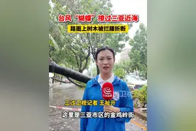 台风“蝴蝶”擦过三亚近海，路面上树木被拦腰折断