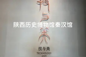 “技与美”展～陕西历史博物馆秦汉馆#旅游#西安#陕西视频封面