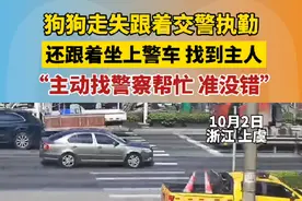 10月2日，浙江上虞，狗狗走失跟着交警执勤，还跟着坐上警车 ，找到主人。“主动找警察帮忙，准没错”#社会百态 #正能量 #警察 #交警 #狗狗视频封面