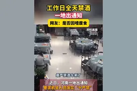 工作日全天禁酒，一地出通知，网友：是否因噎废食#禁酒令 #河南 #违规吃喝视频封面