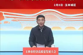 王琛：主动作为、前瞻布局，绝对不能再错失这一实现跨越发展的千载良机|玉林市委、市政府召开全市经济高质量发展大会#玉林新春第一会 #拼开局玉林新春第一会视频封面