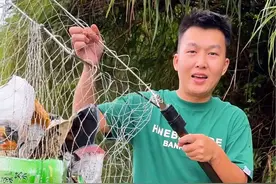 一场秋雨一场凉，下过大雨之后鲢鳙都浮到了水面上来#秋天大家dou来钓大鱼 #爱护环境人人有责视频封面