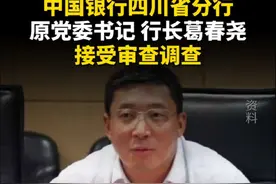 #中国银行四川省分行原党委书记、行长葛春尧接受审查调查#（四川观察）@抖音短视频视频封面