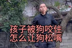 方法只供参考。#孩子被狗狗追逐时怎么办#亨特训犬视频封面