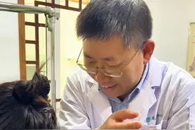 摁不完，根本摁不完！小爱带你看“摸筋解结”邱主任火了后续……#中医#摸筋解结#沈阳一社区医院火出圈#邱式中医摸筋解结