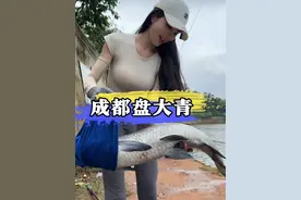 震惊 钓鱼场老板出奇葩要求：女钓手加联系才能带走超多鱼获视频封面