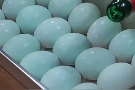 把啤酒倒入鸭蛋中泡一泡，就可以做出比饭店还好吃的咸鸭蛋，方法简单，满口留香，你也做起来吧#腌鸭蛋 #咸鸭蛋视频封面