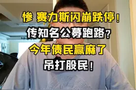太惨了！股民被债民吊打，赛力斯闪崩跌停！传知名公募砸盘？