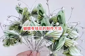 蝴蝶有钱花的制作方法#有钱花 #可以订制哦 #纸币折叠花