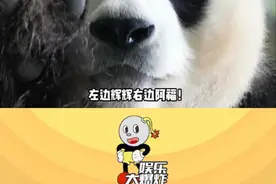 喜欢小熊爪的姨姨们有福了！可爱的熊爪鞋安排~#熊爪 #可爱到爆炸视频封面