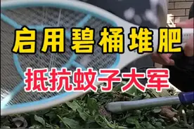 开始启用碧桶堆肥啦！蚊子大军来袭。#堆肥 #种菜 #园艺生活 #碧奧兰堆肥箱视频封面