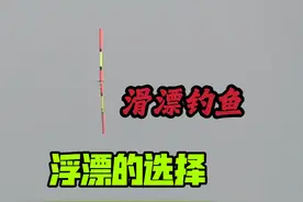 怪不得别人滑漂钓得好，原来选浮漂也是有诀窍的，钓鱼硬知识视频封面