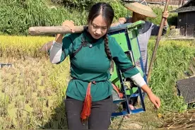 什么时候才有个女婿代替妈妈的位置，妈妈身体不好还被我拉了帮忙，伤心啊💔#新农人计划2024 #丰收的季节 #乡村守护人 @苗家阿格（小号） @苗家阿格好物分享视频封面