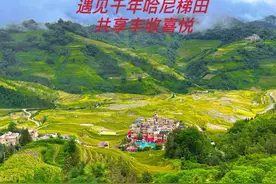 遇见千年哈尼梯田，给你一场不一样的视觉盛宴#农村生活视频封面