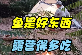 鱼是好东西，露营要多吃 #户外 #露营美食 #野外露营 #远离城市的喧嚣 #户外烹饪视频封面