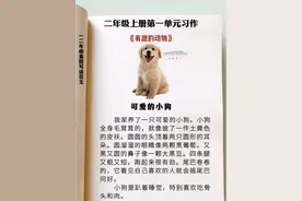 快开学了，收起来提前给孩子读读吧！ 二年级上册 #同步作文 第一单元习作 有趣的动物 《可爱的小狗》范文 #家长收藏孩子受益 #一升二 #二年级 #看图写话视频封面