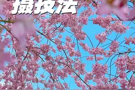 详细拍花教程 分享六个超级出片的樱花拍摄技巧，简单易学#手机摄影 #拍花技巧 #拍摄花朵教程 #樱花 #拍花视频封面