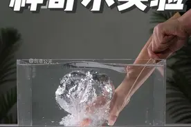玩水能玩出什么花样，盘点12个用水为道具的神奇小实验，快陪孩子玩起来吧，感受科学的神奇魅力#趣味实验 #水的科学小实验视频封面