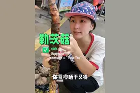 你们还知道簕茨菇有什么功效吗？欢迎评论区留言#大自然的馈赠 #植物科普 #分享家乡特产 #刺芋 #湿热