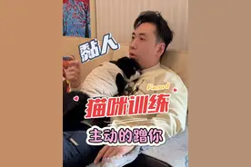 这次教程就是靠抱靠摸 你们还有其他好方法吗让猫咪黏人吗？#猫咪主动亲近 #抱猫的正确姿势 #抱猫 #抱猫姿势 #猫咪主动给自己选一个位子