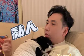 这次教程就是靠抱靠摸 你们还有其他好方法吗让猫咪黏人吗？#猫咪主动亲近 #抱猫的正确姿势 #抱猫 #抱猫姿势 #猫咪主动给自己选一个位子视频封面