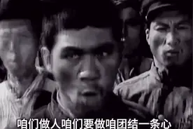 我们不是牛马我们是人素材视频封面