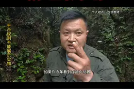 目前的温度雨过天晴，什么事都有。我只是简单说了一下具体的毒蛇，特别是晚上一定要注意安全。#户外 #农村生活 #蛇 #五步蛇 #眼镜王蛇