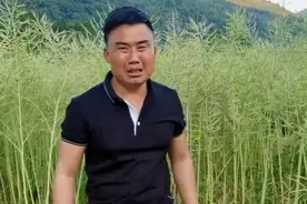 割错地方了#搞笑我们是认真的 #搞笑视频纯属娱乐开心就好 #搞笑视频 #荣昌视频封面