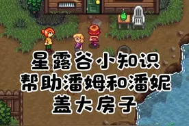 萌新必看的星露谷小知识——社区升级之帮助潘姆和潘妮盖大房子