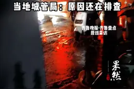 洛阳一景区附近雨后满街粪便，恶臭扑鼻！还有人滑倒在地