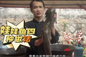 今天济公松教大家娃娃鱼的四种做法，滋补养生，快学起来吧