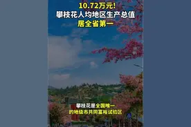 2023年，#攀枝花人均地区生产总值居全省第一#！达10.72万元（四川发布）视频封面