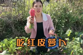 王二妹拔红皮萝卜，不用泡菜坛不用老酸水就做出好吃的四川泡菜视频封面