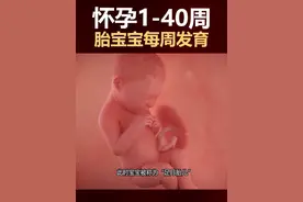 🤰怀孕1-40周胎宝成长全记录 准妈妈快来学习👶  ✨【孕早期：1-12周】生命的奇妙启程 第4周：小海马初现！神经管形成，脑发育按下启动键🧠 第8周：心脏开始"咚咚"跳啦💓，B超能看到小豆芽啦 第12周：五官初现雏形，会吮吸手指的机灵鬼👐 · 🌸【孕中期：13-28周】技能点疯狂加载 第16周：妈妈感受到第一次胎动！像小鱼吐泡泡🐟 第20周：全身绒毛覆盖，开始吞咽羊水练习呼吸🫧 第24周：睫毛弯弯像小扇子，能听见外界声音啦👂 第28周：大脑沟回形成，会做梦的小思想家💭 · 🎉【孕晚期：29-40周】冲刺倒计时 第32周：小房子越来越挤，胎头开始朝下准备入盆🏠 第36周：脂肪层增厚变成胖乎乎的小团子🍡 第40周：肺发育完成，随时准备发动！发动信号：见红/破水/宫缩🚑 · 📌产检小贴士： 12周NT早唐｜16周唐筛｜20周大排畸｜24周糖耐｜28周小排畸｜36周后每周胎心监护 · 💌准妈妈们记得： ▫每周拍孕肚照记录合体时光 ▫和宝宝说话/放胎教音乐 ▫左侧卧睡+托腹带缓解压力 ▫数胎动（每小时3-5次正常） · 你的宝贝现在到第几周冒险啦？👇评论区接好孕！🍼  #孕期日记 #胎儿发育 #接好孕 #新手妈妈 #孕期知识