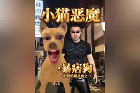 最毋庸置疑的一集 #猫爷 #小猫 #猎奇 #毋庸置疑视频封面