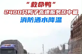 货车高速抛锚，消防紧急送水给2400只鸭子冲凉。鸭：好险！差点就变成“烤鸭”了。#江西dou知道 #高温下的劳动者 #消防员视频封面