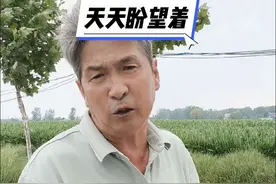 你们那里下雨了吗？农民的心声，天天盼望着，为什么以前准现在不准了呢？#农民#专家#天气预报  #农村生活 #农民种地不容易