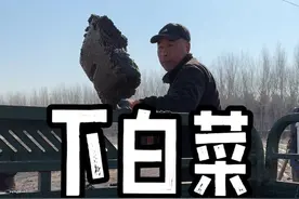 在东北春季的白菜是这样抢早的！ #育苗#三农种植 #白菜 #乡村生活家 #新农人计划2025视频封面