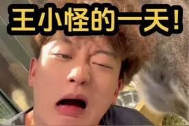 家里养几百只异宠的王小怪每天都在干什么！