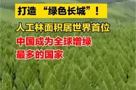 打造 “绿色长城”！人工林面积居世界首位，中国成为全球增绿最多的国家#三北工程 #防沙治沙视频封面
