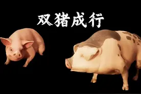 这是什么阴间剧情！ 结尾属实蚌埠住了，哈哈哈哈哈#双影奇境 #双人成行 #steam游戏