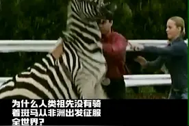 为什么斑马不能骑？#灵魂序章 #科普