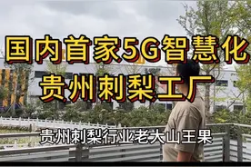 国内首家5G智慧化贵州刺梨工厂#刺梨 #健康 #贵州刺梨维c之王视频封面