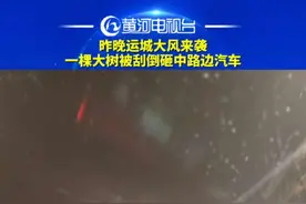 昨晚运城大风来袭！一棵大树被刮倒砸中路边汽车#黄河电视台 #山西dou知道 #运城 #现场直击视频封面