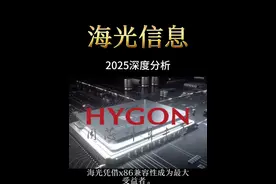 海光信息2025年最新基本面分析 一天研究一家上市公司 #海光信息 #中科曙光 #芯片 #算力 #AI