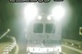 短短几天尸横遍野，到处都是感染病毒而死亡的人们尸体！视频封面