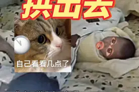 不睡你就拱出去，哼💢#搞笑配音#最怕空气突然安静 #万万没想到